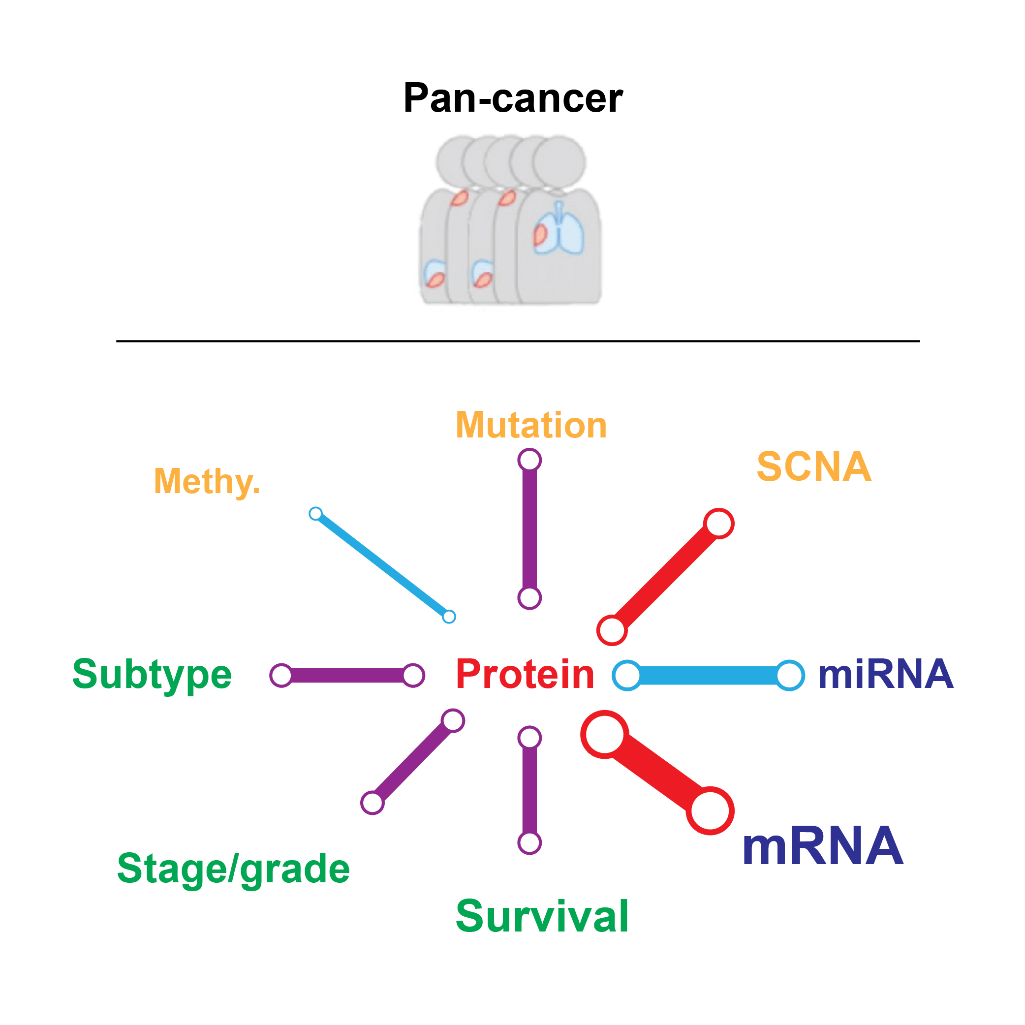 Pan-cancer Analysis icon