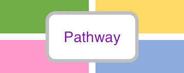 pathway centric analysis icon